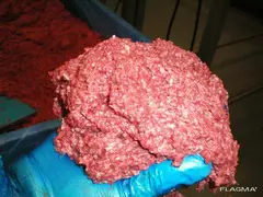 продаем замороженное мясо