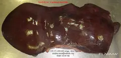 продаем замороженное мясо - 2