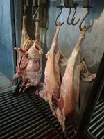 Тушка баранины и ягнятины в 6 частях. В/у. Охл/Зам. Сертификат Halal