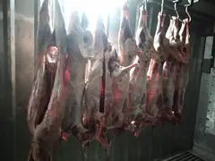 Тушка баранины и ягнятины в 6 частях. В/у. Охл/Зам. Сертификат Halal - 2