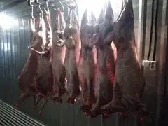 Тушка баранины и ягнятины в 6 частях. В/у. Охл/Зам. Сертификат Halal - 3