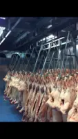 Тушка баранины и ягнятины в 6 частях. В/у. Охл/Зам. Сертификат Halal - 4