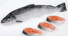 Forel satilir Topdan - 3
