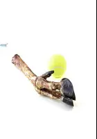 MARAL HORN - LƏZZLİ TƏRƏK - 10