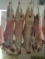 Баранина  - халяльное мясо баранины/ягненок
