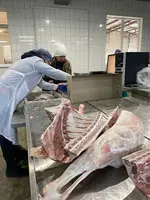 Баранина  - халяльное мясо баранины/ягненок - 12