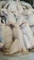 Toyuq (YUMURTA CIRLARI) 1 VƏ 2 SERTİF - 2