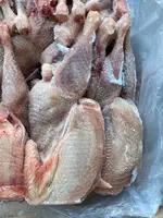 Toyuq (YUMURTA CIRLARI) 1 VƏ 2 SERTİF - 5