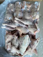 Toyuq (YUMURTA CIRLARI) 1 VƏ 2 SERTİF - 7