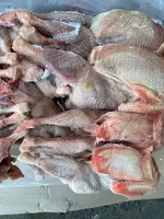 Toyuq (YUMURTA CIRLARI) 1 VƏ 2 SERTİF - 8