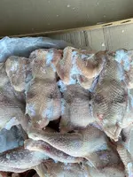 Toyuq (YUMURTA CIRLARI) 1 VƏ 2 SERTİF - 9