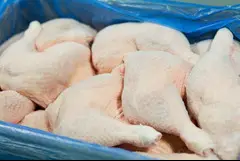 куриные бедра для продажи оптом