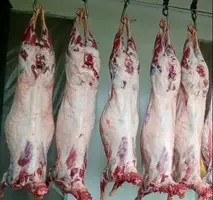 Баранина на продажу, оптовая продажа баранины, халяль