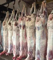 Баранина на продажу, оптовая продажа баранины, халяль - 2