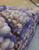 Семенной картофель из Беларуси. Картофель Уладар - 2