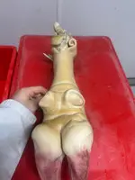 DANA AYAQLARI - XƏŞ - 2