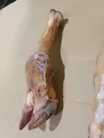 DANA AYAQLARI - XƏŞ - 10