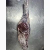 Monqolustandan 100 tondan guzu  cəmdəkləri satilir - 3
