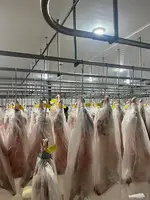 Баранина оптом - 3