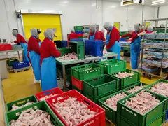 Оптовая продажа бройлеров в Кыргызстане - 3