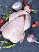 Оптовая продажа куриного мяса