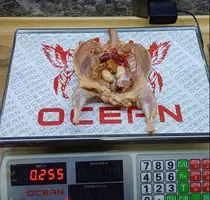 Реализация на экспорт мясо перепелов - 3