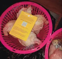 Реализация на экспорт мясо перепелов - 5