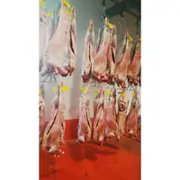Quzu Cəmdəkləri Monqolustan Halal, topdansatış
