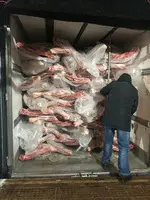 Продам: мясо говядины от производителя оптом РБ - 3