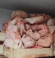 Продам Курдюк в наличии,