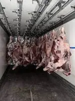 Свежая говядина оптом – уже в наличии!