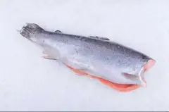 Лосось (Турция), Премиум класса. Охлаждённая, замороженная, разных размеров