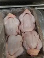 Курица бройлер Курица бройлер Toyug Broiler Topdan