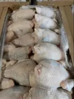 Курица суповая (несушка)