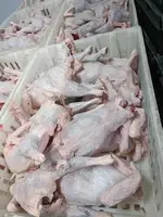 Курица Суповая оптом