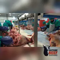 Wholesale meat - 9