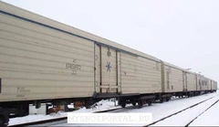 Перевозка замороженного мяса и рыбы через порты Поти и Батуми Грузия. - 3