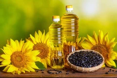 Продам Масло подсолнечное рафинированное
