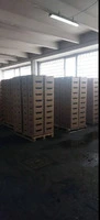 ПРОДАЮТСЯ ОГУРЦЫ БЕРН - 2