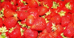 Клубника оптом с теплиц Краснодара. Объёмы есть
