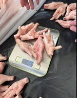 Куриные лапы плюсны в китай chicken paws grade a 30 - 3