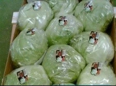 Продаем салаты от производителей - 2