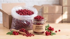Брусника вяленая, сушеная
