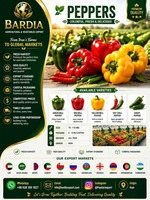 Fresh Fruits & Vegetables from Iran – Wholesale