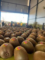 Поставки свежих фруктов и овощей из Ирана в Россию и Азербайджан
