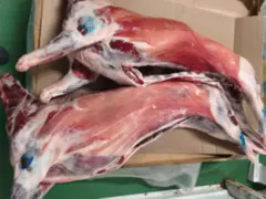 Мясо козы на кости (козлятина) в тушах с фермы замороженное оптом
