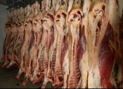 Говядина, полутуши, экспорт из Украины