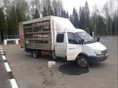 Птицевоз. Перевозка птицы, кур