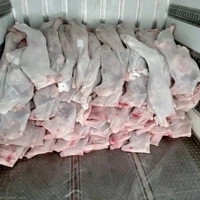Баранина из Монголии оптом — мясо ягненка - 4