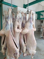 Продам баранину оптом — 5 тонн